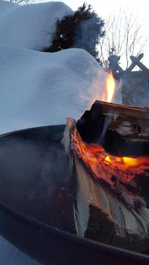 Almhof Grub Villa Wagrain Dış mekan fotoğraf