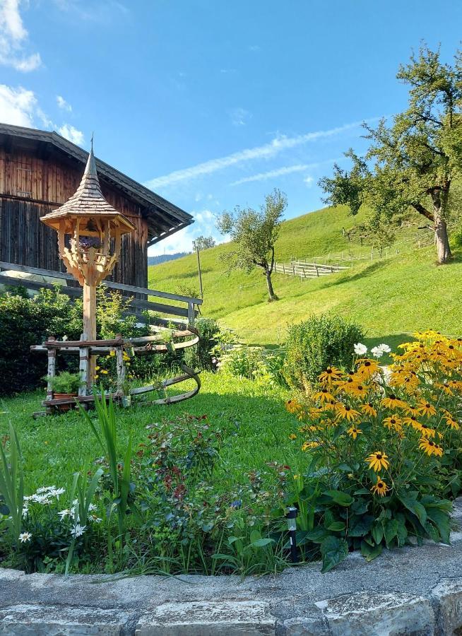 Almhof Grub Villa Wagrain Dış mekan fotoğraf